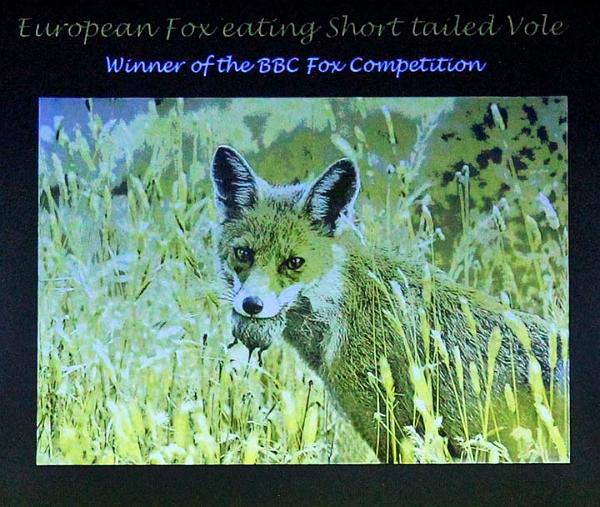 5. A chance encounter.jpg